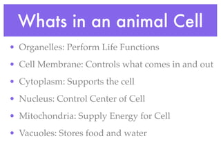 Whats in an animal Cell
• Organelles: Perform Life Functions
• Cell Membrane: Controls what comes in and out
• Cytoplasm: Supports the cell
• Nucleus: Control Center of Cell
• Mitochondria: Supply Energy for Cell
• Vacuoles: Stores food and water
 