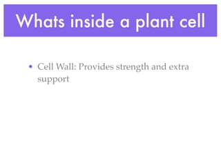 Whats inside a plant cell

 • Cell Wall: Provides strength and extra
   support
 