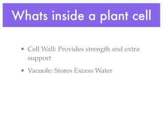 Whats inside a plant cell

 • Cell Wall: Provides strength and extra
   support
 • Vacuole: Stores Excess Water
 