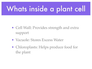 Whats inside a plant cell

 • Cell Wall: Provides strength and extra
   support
 • Vacuole: Stores Excess Water
 • Chloroplasts: Helps produce food for
   the plant
 