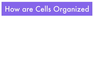 How are Cells Organized
 