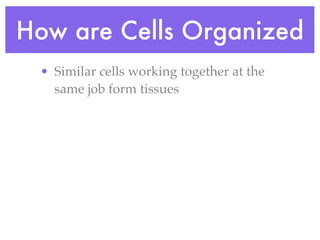 How are Cells Organized
 • Similar cells working together at the
   same job form tissues
 