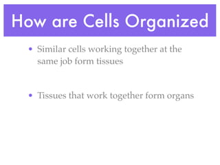 How are Cells Organized
 • Similar cells working together at the
   same job form tissues


 • Tissues that work together form organs
 