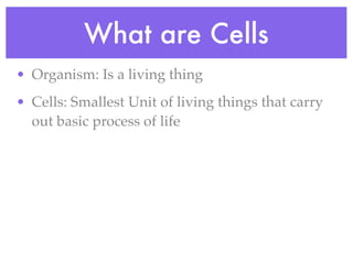 What are Cells
• Organism: Is a living thing
• Cells: Smallest Unit of living things that carry
  out basic process of life
 
