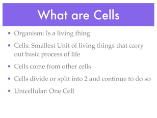 What are Cells
• Organism: Is a living thing
• Cells: Smallest Unit of living things that carry
  out basic process of life
• Cells come from other cells
• Cells divide or split into 2 and continue to do so
• Unicellular: One Cell
 