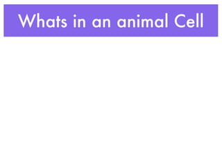 Whats in an animal Cell
 