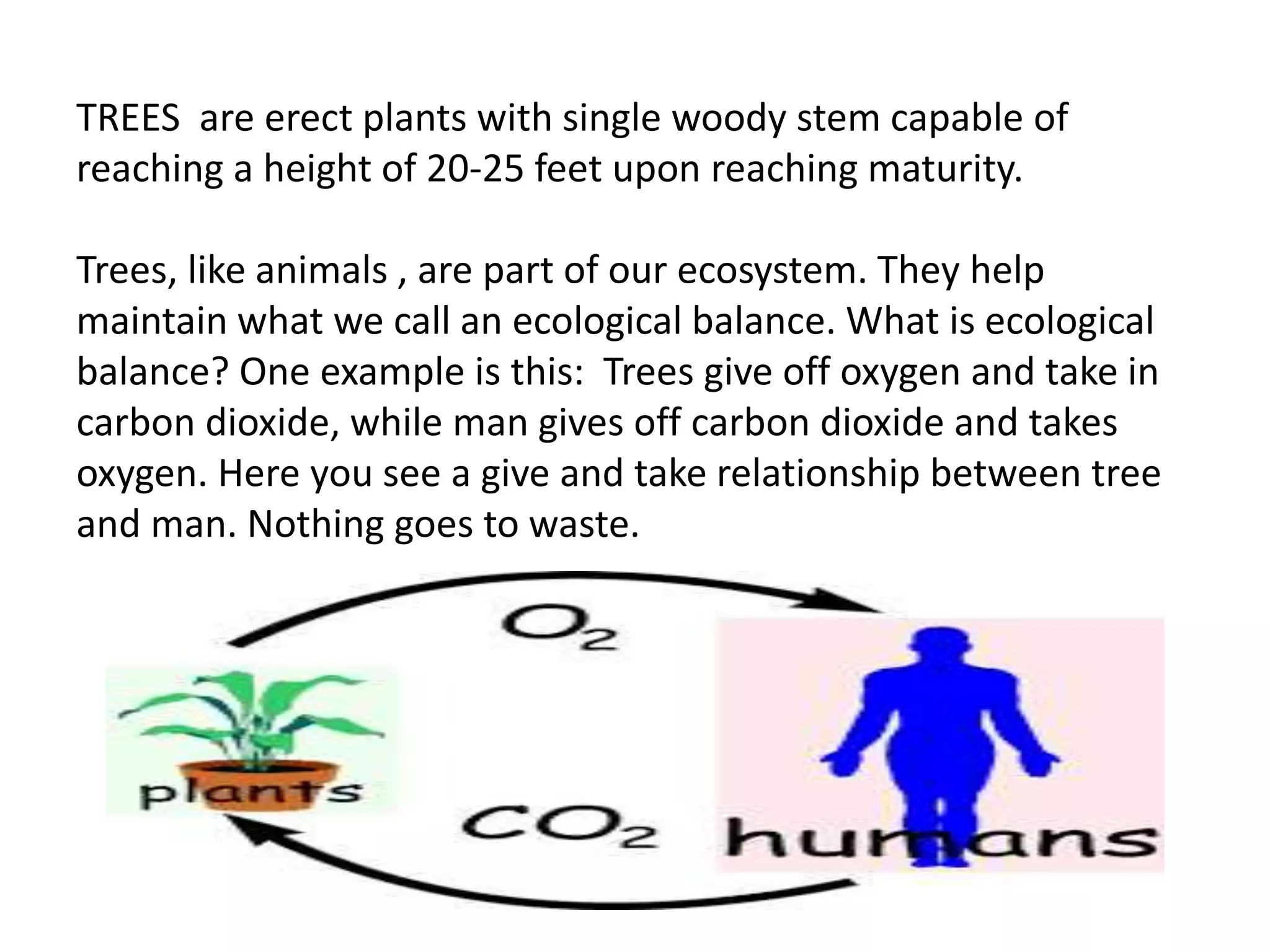 IMPORTANCE AND BENEFITS DERIVED FROM PLANTING AND FRUIT TREES | PPT