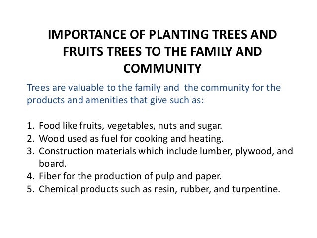 Importance And Benefits Derived From Planting And Fruit Trees