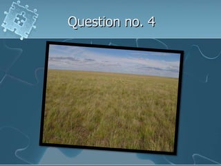 Question no. 4