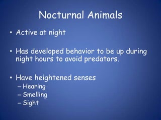 Nocturnal Animals Active at night Has developed behavior to be up during night hours to avoid predators. Have heightened senses Hearing Smelling Sight 
