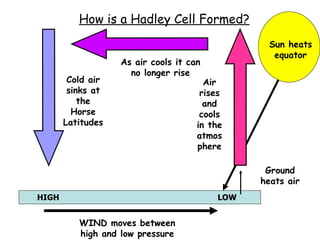 How is a Hadley Cell Formed? Sun heats equator Ground heats air Air rises and cools in the atmosphere As air cools it can no longer rise Cold air sinks at the Horse Latitudes WIND moves between high and low pressure LOW HIGH 