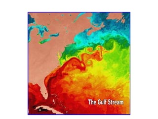 The Gulf Stream 