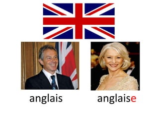 anglais   anglaise
 