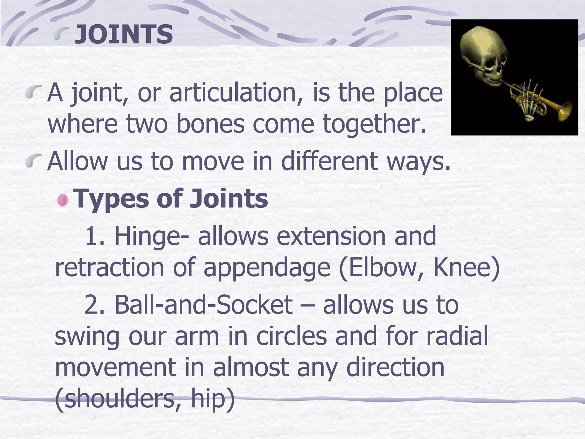 A joint, or articulation, is the place
where two bones come together.
Allow us to move in different ways.
Types of Joints
1. Hinge- allows extension and
retraction of appendage (Elbow, Knee)
2. Ball-and-Socket – allows us to
swing our arm in circles and for radial
movement in almost any direction
(shoulders, hip)
JOINTS
 