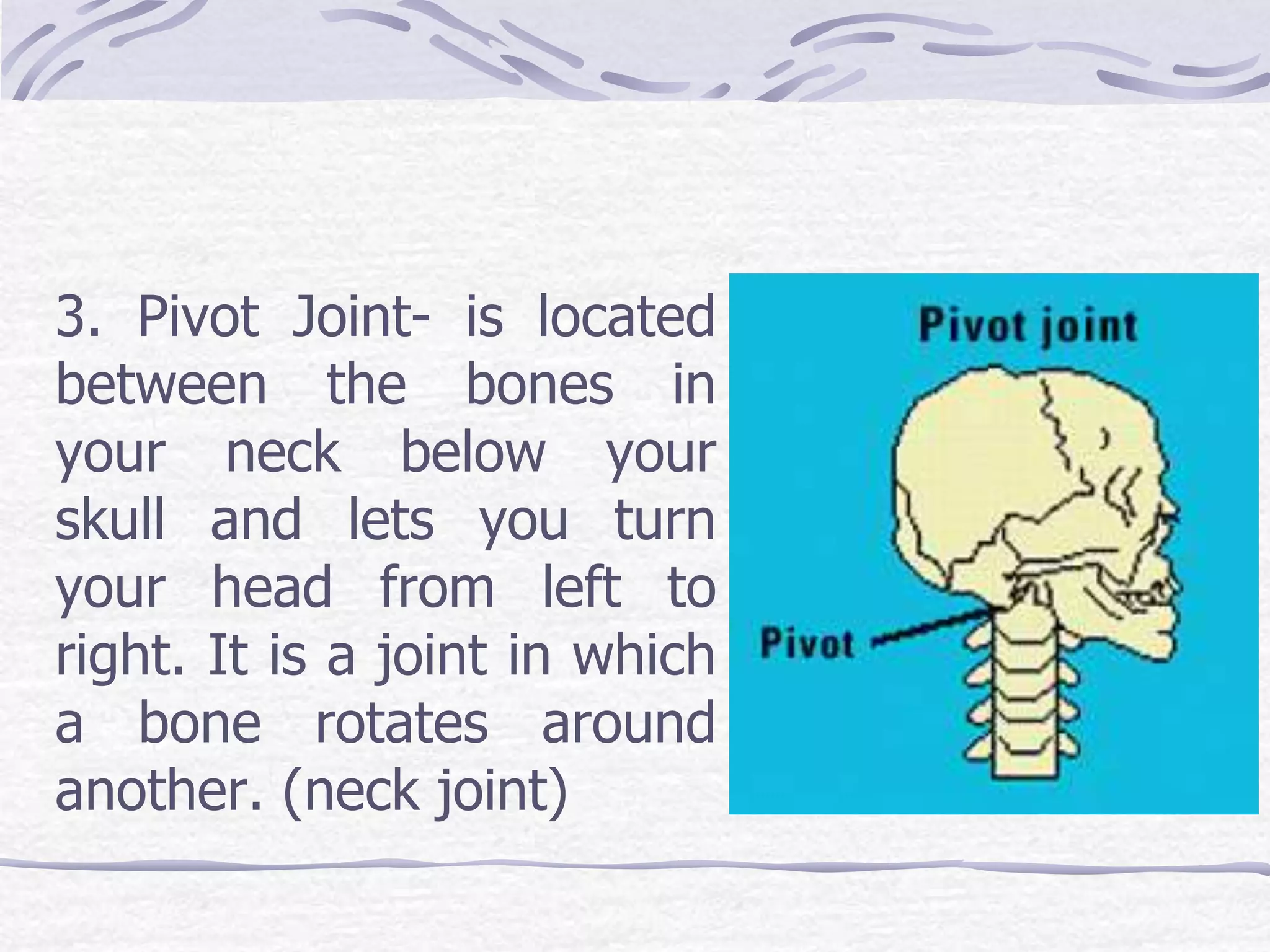 3. Pivot Joint- is located
between the bones in
your neck below your
skull and lets you turn
your head from left to
right. It is a joint in which
a bone rotates around
another. (neck joint)
 