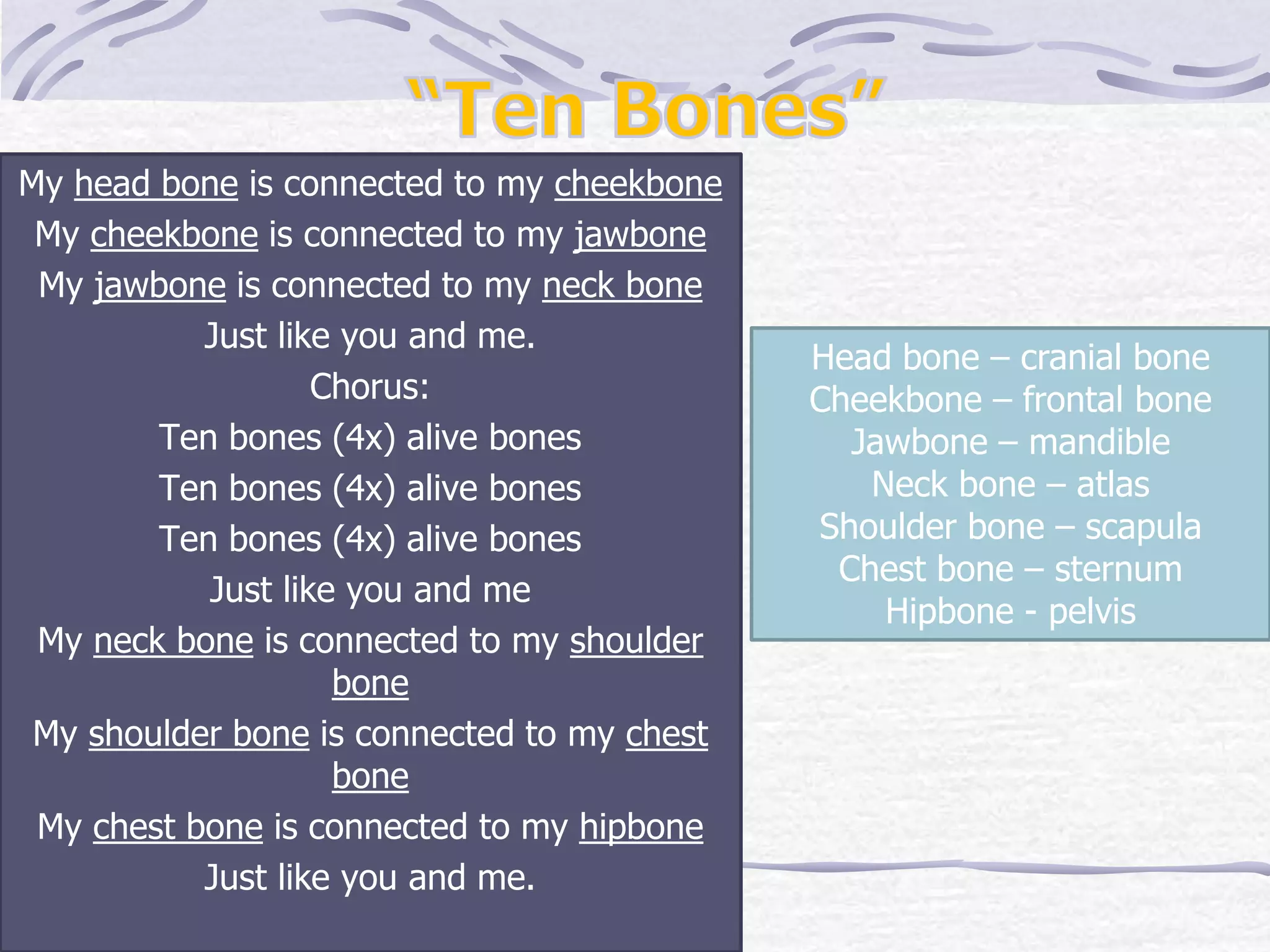 My head bone is connected to my cheekbone
My cheekbone is connected to my jawbone
My jawbone is connected to my neck bone
Just like you and me.
Chorus:
Ten bones (4x) alive bones
Ten bones (4x) alive bones
Ten bones (4x) alive bones
Just like you and me
My neck bone is connected to my shoulder
bone
My shoulder bone is connected to my chest
bone
My chest bone is connected to my hipbone
Just like you and me.
Head bone – cranial bone
Cheekbone – frontal bone
Jawbone – mandible
Neck bone – atlas
Shoulder bone – scapula
Chest bone – sternum
Hipbone - pelvis
 