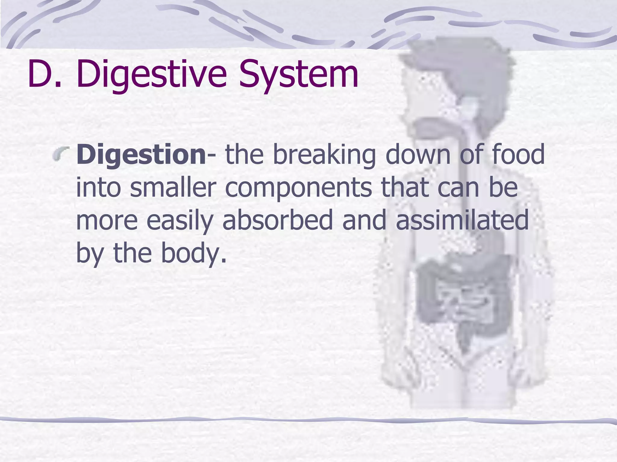 D. Digestive System
Digestion- the breaking down of food
into smaller components that can be
more easily absorbed and assimilated
by the body.
 