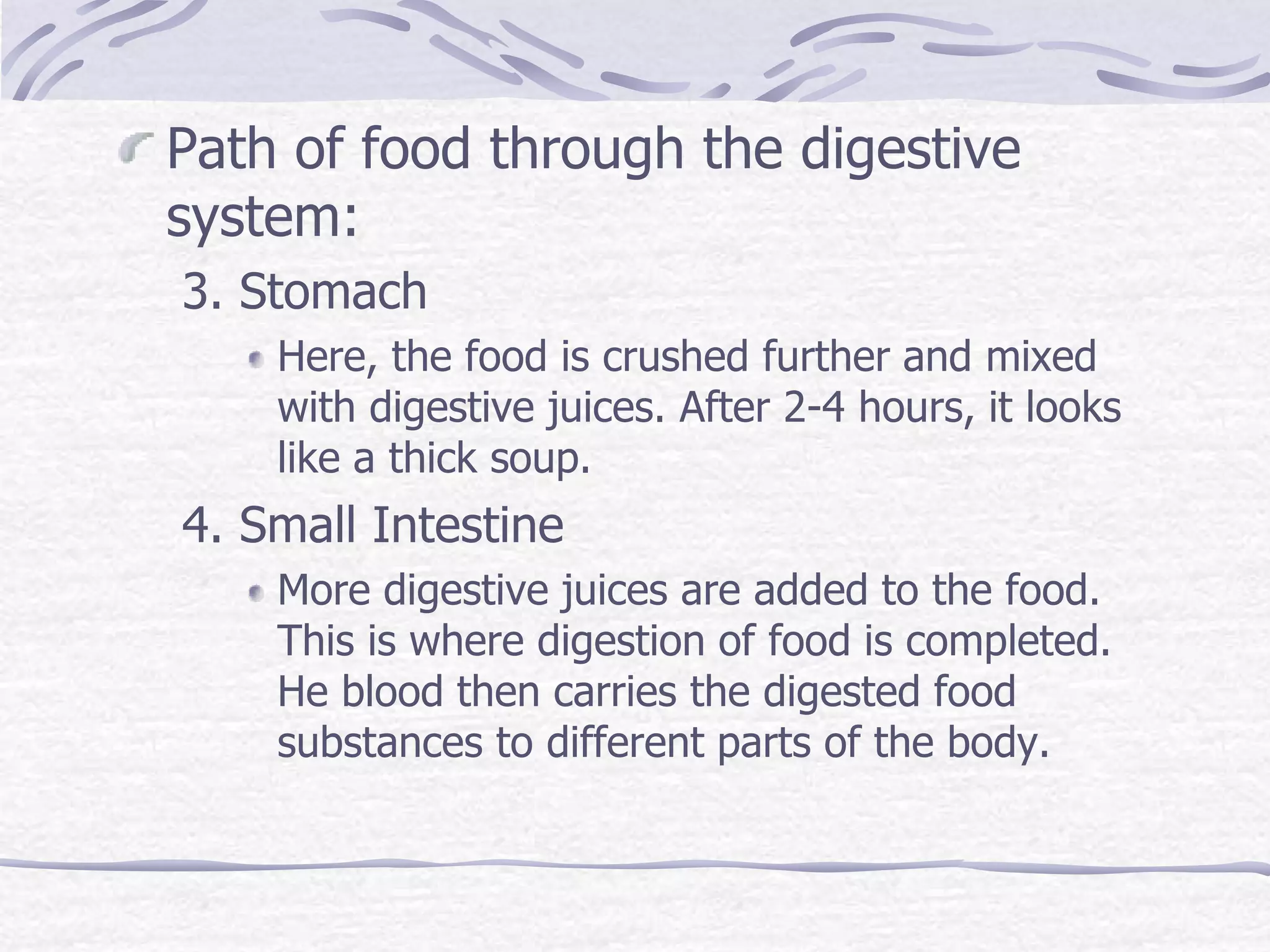Path of food through the digestive
system:
3. Stomach
Here, the food is crushed further and mixed
with digestive juices. After 2-4 hours, it looks
like a thick soup.
4. Small Intestine
More digestive juices are added to the food.
This is where digestion of food is completed.
He blood then carries the digested food
substances to different parts of the body.
 