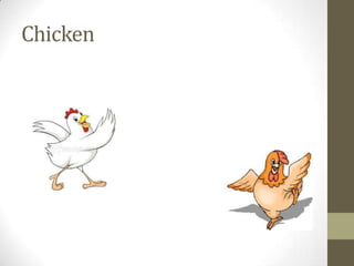 Chicken
 