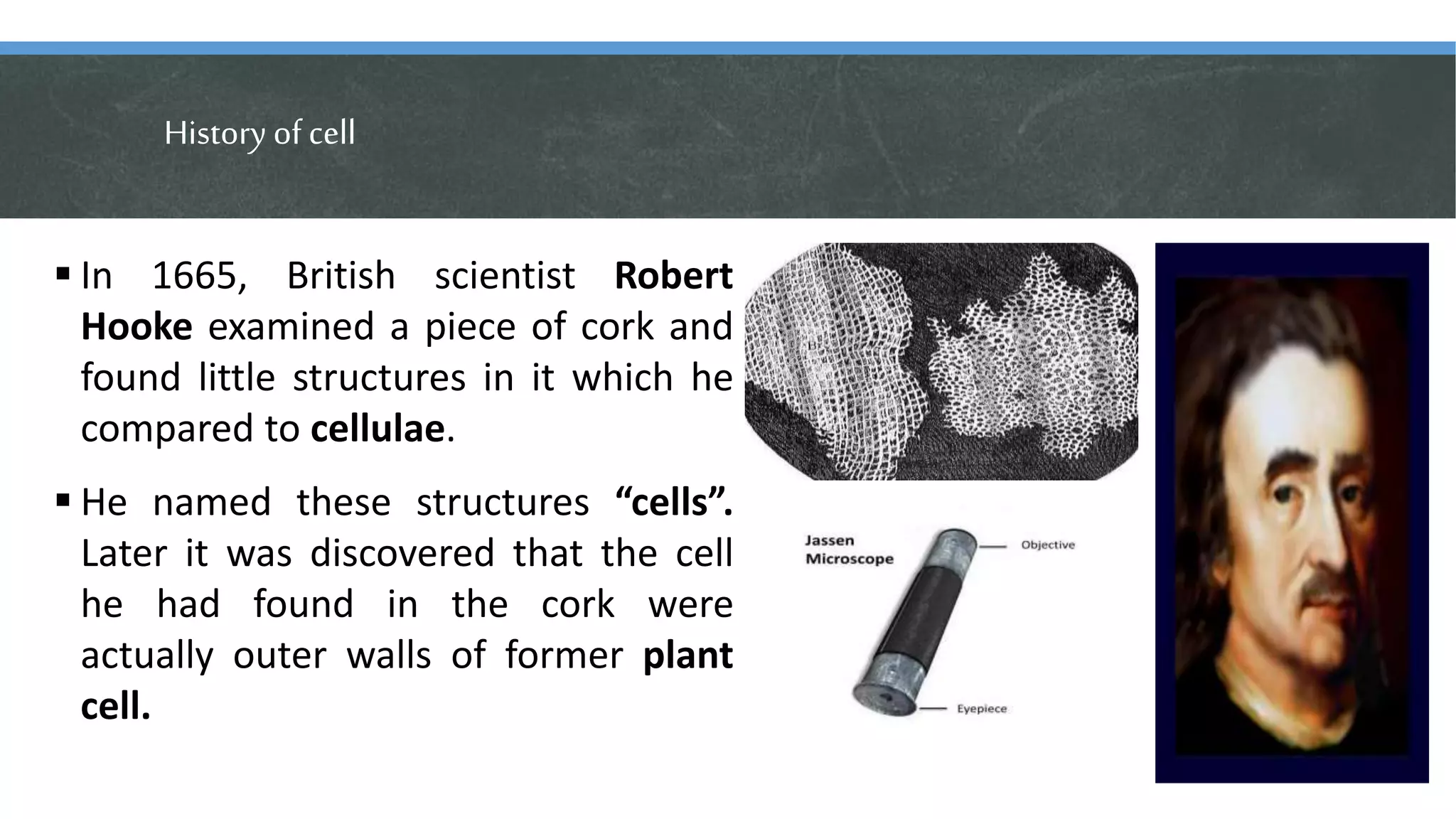 History ofcell
 In 1665, British scientist Robert
Hooke examined a piece of cork and
found little structures in it which he
compared to cellulae.
 He named these structures “cells”.
Later it was discovered that the cell
he had found in the cork were
actually outer walls of former plant
cell.
 