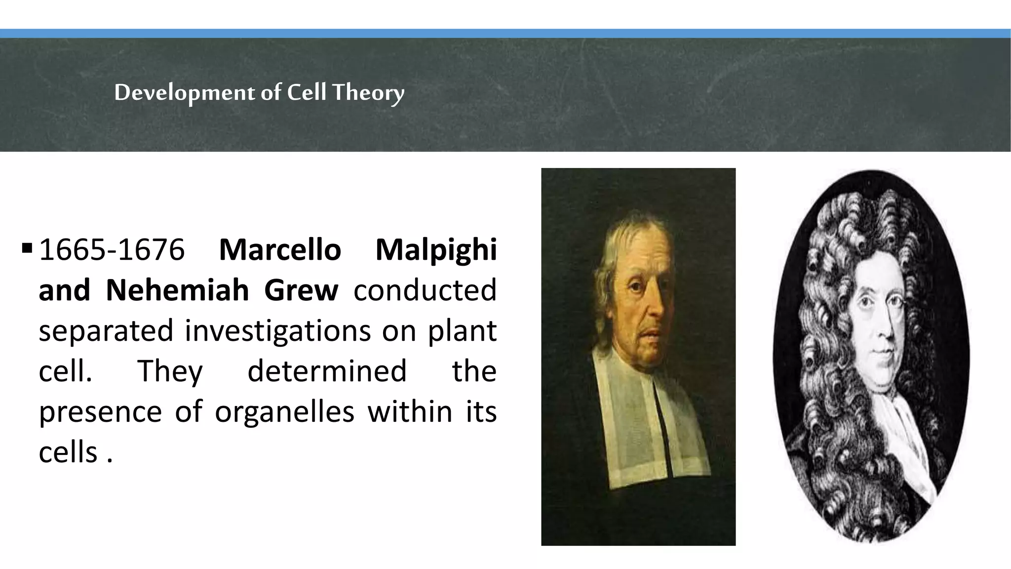 Development of Cell Theory
1665-1676 Marcello Malpighi
and Nehemiah Grew conducted
separated investigations on plant
cell. They determined the
presence of organelles within its
cells .
 