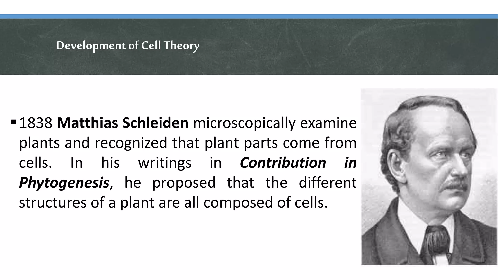 Development of Cell Theory
1838 Matthias Schleiden microscopically examine
plants and recognized that plant parts come from
cells. In his writings in Contribution in
Phytogenesis, he proposed that the different
structures of a plant are all composed of cells.
 