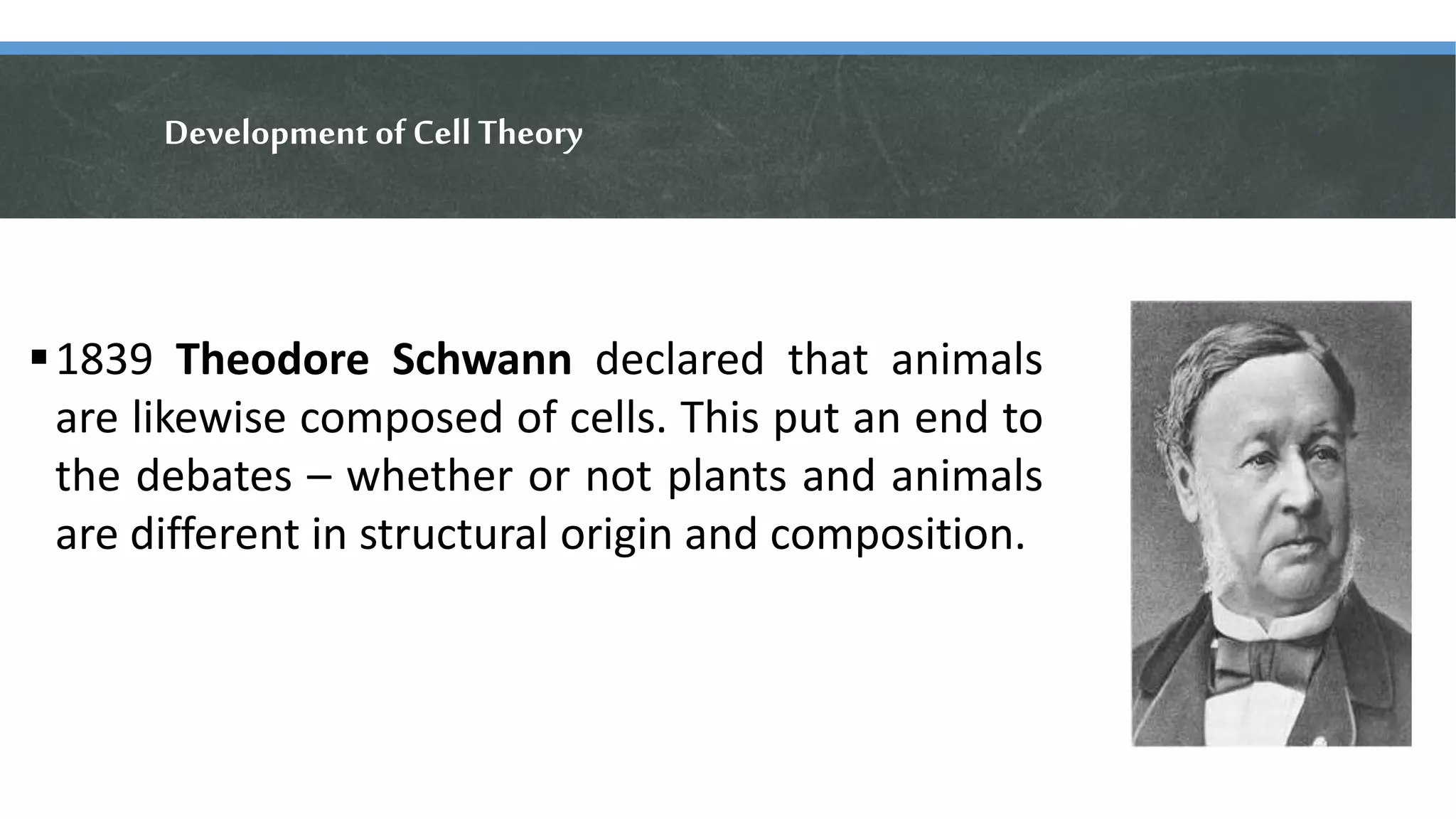 Development of Cell Theory
1839 Theodore Schwann declared that animals
are likewise composed of cells. This put an end to
the debates – whether or not plants and animals
are different in structural origin and composition.
 