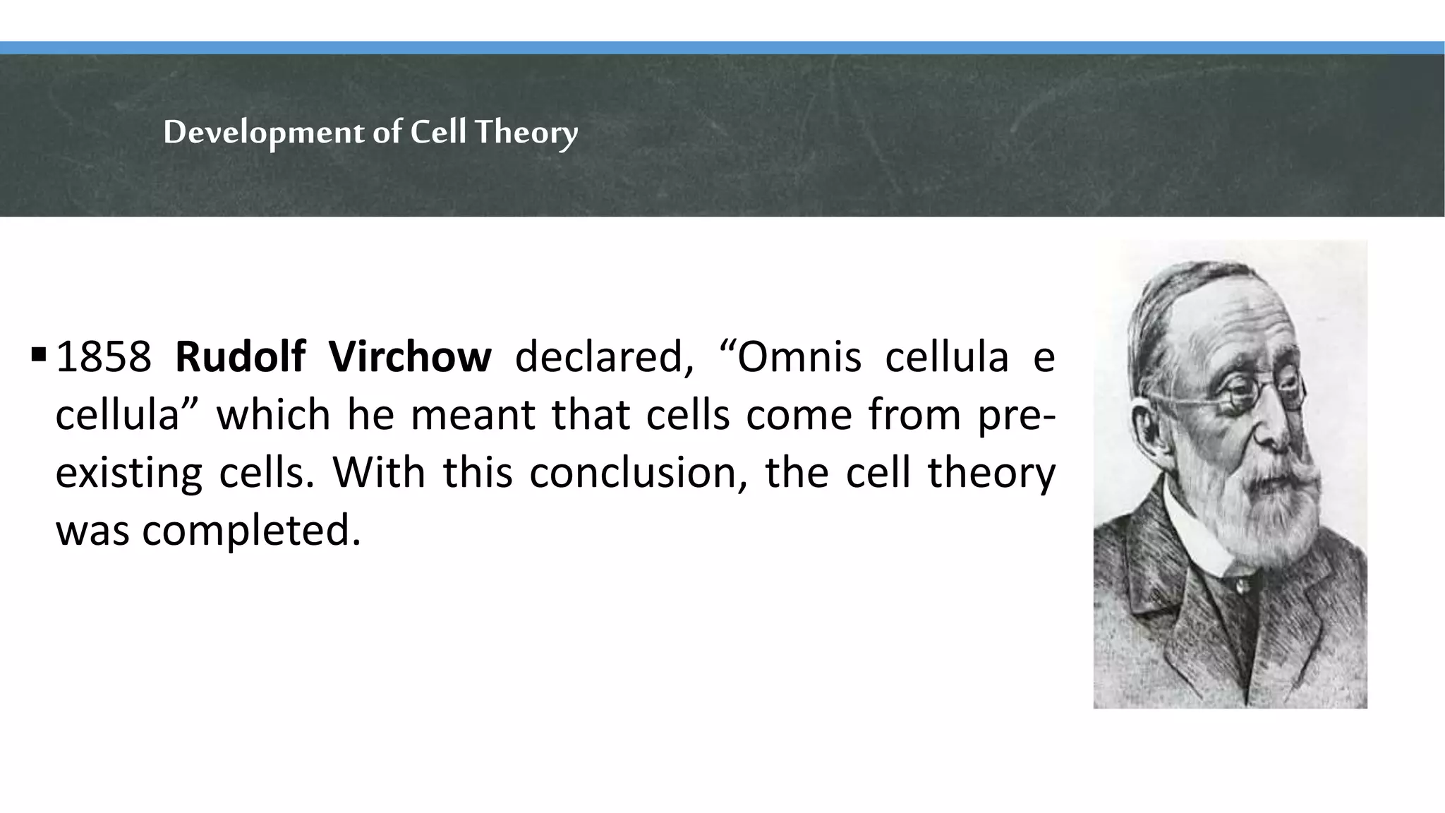 Development of Cell Theory
1858 Rudolf Virchow declared, “Omnis cellula e
cellula” which he meant that cells come from pre-
existing cells. With this conclusion, the cell theory
was completed.
 