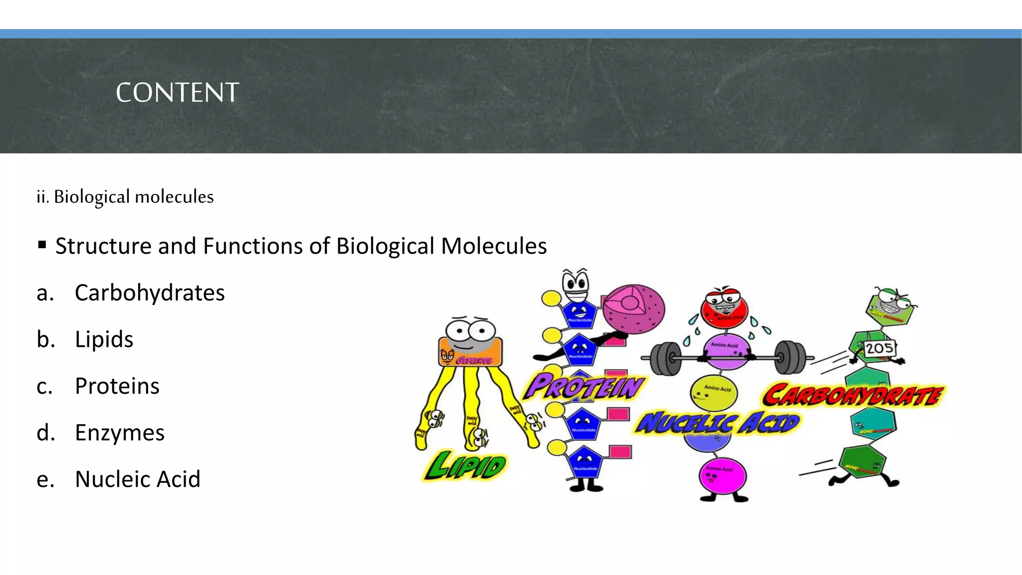 CONTENT
ii. Biological molecules
 Structure and Functions of Biological Molecules
a. Carbohydrates
b. Lipids
c. Proteins
d. Enzymes
e. Nucleic Acid
 
