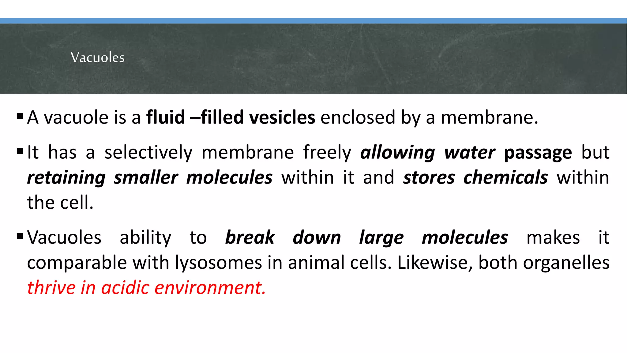 Vacuoles
A vacuole is a fluid –filled vesicles enclosed by a membrane.
It has a selectively membrane freely allowing water passage but
retaining smaller molecules within it and stores chemicals within
the cell.
Vacuoles ability to break down large molecules makes it
comparable with lysosomes in animal cells. Likewise, both organelles
thrive in acidic environment.
 
