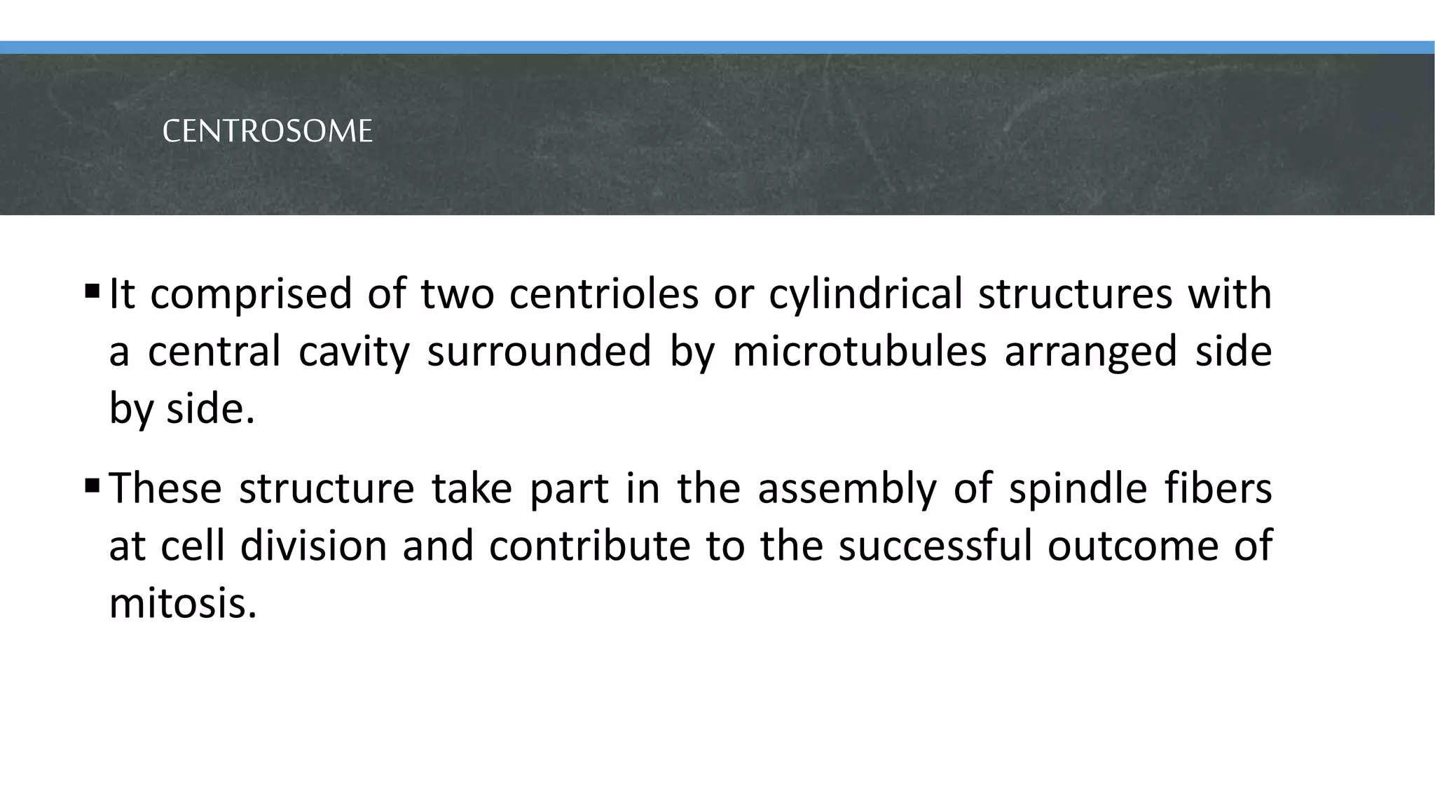 CENTROSOME
It comprised of two centrioles or cylindrical structures with
a central cavity surrounded by microtubules arranged side
by side.
These structure take part in the assembly of spindle fibers
at cell division and contribute to the successful outcome of
mitosis.
 