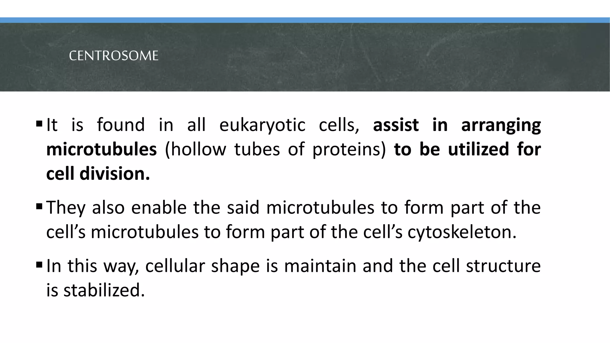 CENTROSOME
It is found in all eukaryotic cells, assist in arranging
microtubules (hollow tubes of proteins) to be utilized for
cell division.
They also enable the said microtubules to form part of the
cell’s microtubules to form part of the cell’s cytoskeleton.
In this way, cellular shape is maintain and the cell structure
is stabilized.
 
