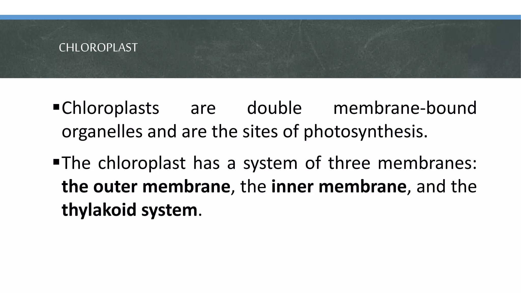 CHLOROPLAST
Chloroplasts are double membrane-bound
organelles and are the sites of photosynthesis.
The chloroplast has a system of three membranes:
the outer membrane, the inner membrane, and the
thylakoid system.
 