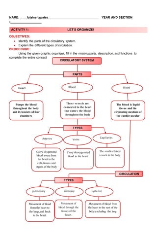 NAME: ____lalaine tapales_____________________________ YEAR AND SECTION
:__________________
OBJECTIVES:
 Identify the parts of the circulatory system.
 Explain the different types of circulation.
PROCEDURE:
Using the given graphic organizer, fill in the missing parts, description, and functions to
complete the entire concept
Carry oxygensted
blood away from
the heart to the
cells,tissues and
organs of the body
Carry deoxygenated
blood to the heart.
The smallest blood
vessels in the body
ACTIVITY 1: LET’S ORGANIZE!
CIRCULATORY SYSTEM
PARTS
Heart Blood Bloodh
Pumps the blood
throughout the body
and it consists of four
chambers
These vessels are
connected to the heart
that cames the blood
throughout the body
The blood is liquid
tissue and the
circulating medium of
the cardiovascular
system system
TYPES
Arteriesaa Veinsve
Capillariesh
CIRCULATION
TYPES
pulmonary systemic
Movement of blood
from the heart to
the lungs,and back
to the heart.
Movement of blood from
the heart to the rest of the
body,excluding the lung
coronary
Movement of
blood through the
tissues of the
heart.
 