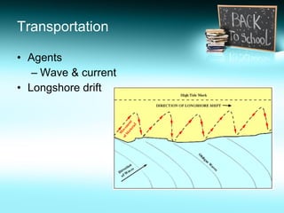 Transportation Agents  Wave & current Longshore drift 