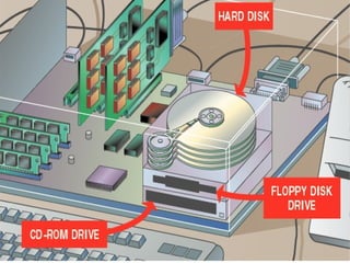 Windows Computer Field Lesson 1 computer funcdamental for computer science.ppt