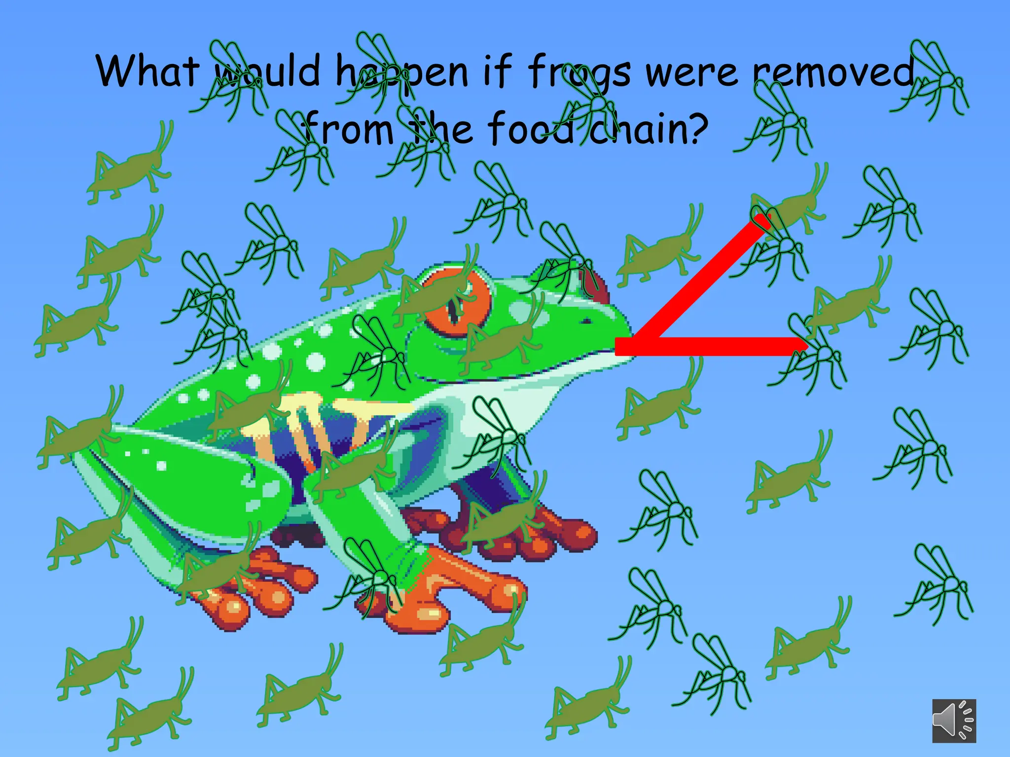 What would happen if frogs were removed
from the food chain?
 