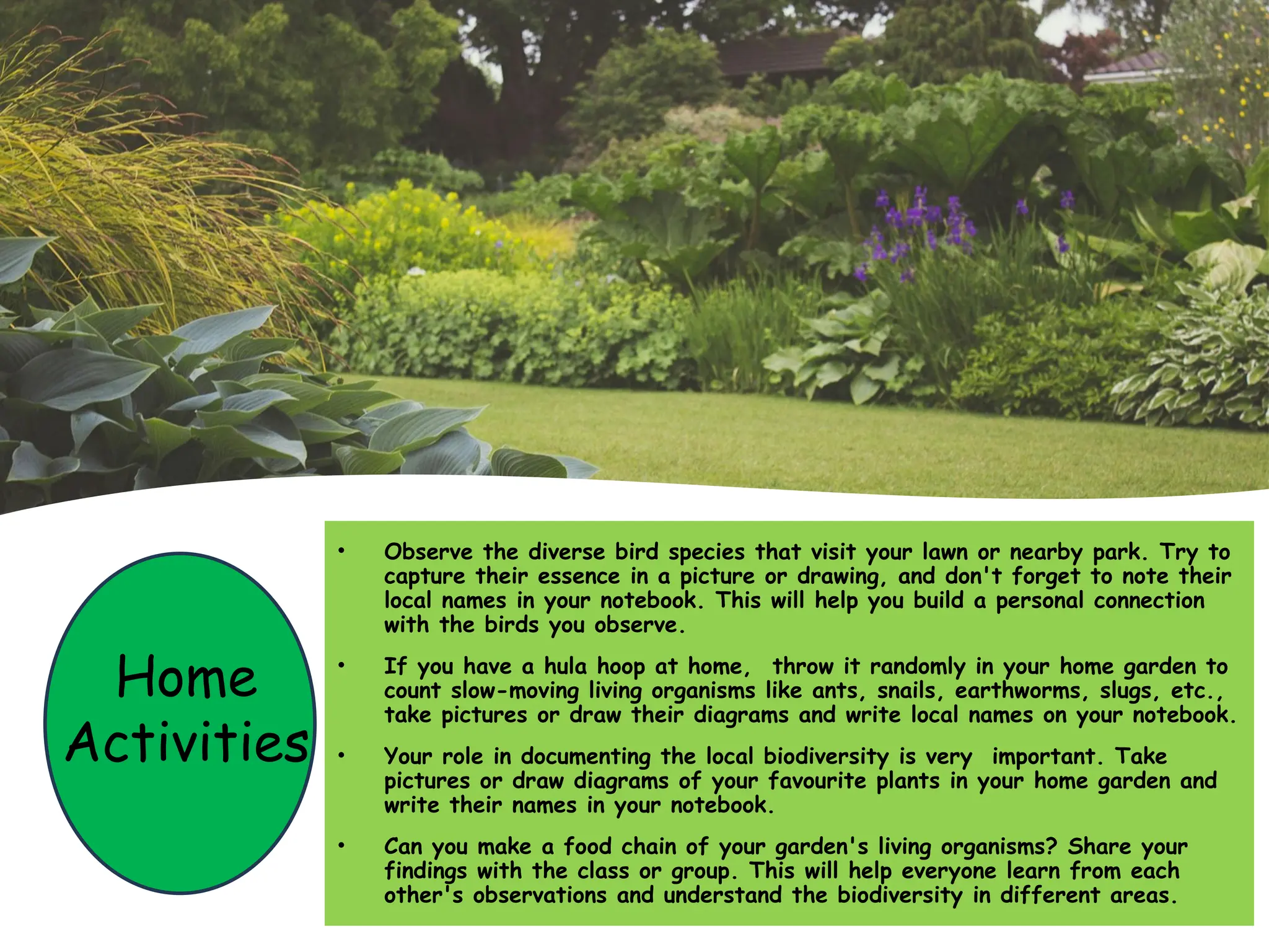 Home
Activities
• Observe the diverse bird species that visit your lawn or nearby park. Try to
capture their essence in a picture or drawing, and don't forget to note their
local names in your notebook. This will help you build a personal connection
with the birds you observe.
• If you have a hula hoop at home, throw it randomly in your home garden to
count slow-moving living organisms like ants, snails, earthworms, slugs, etc.,
take pictures or draw their diagrams and write local names on your notebook.
• Your role in documenting the local biodiversity is very important. Take
pictures or draw diagrams of your favourite plants in your home garden and
write their names in your notebook.
• Can you make a food chain of your garden's living organisms? Share your
findings with the class or group. This will help everyone learn from each
other's observations and understand the biodiversity in different areas.
 