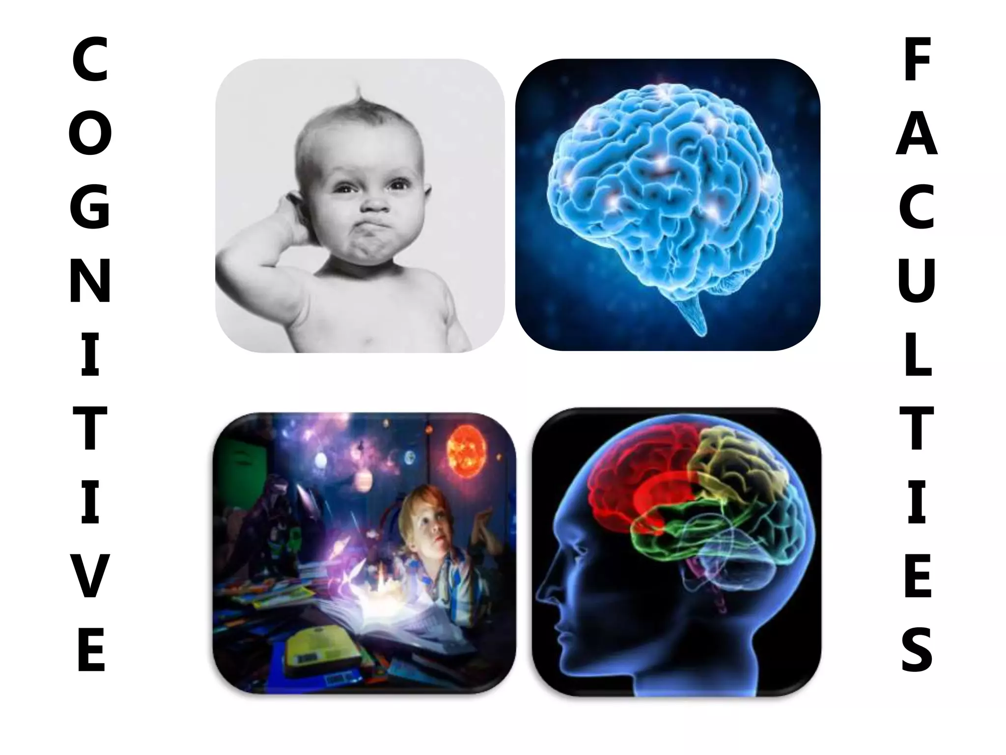 C
O
G
N
I
T
I
V
E
F
A
C
U
L
T
I
E
S
 