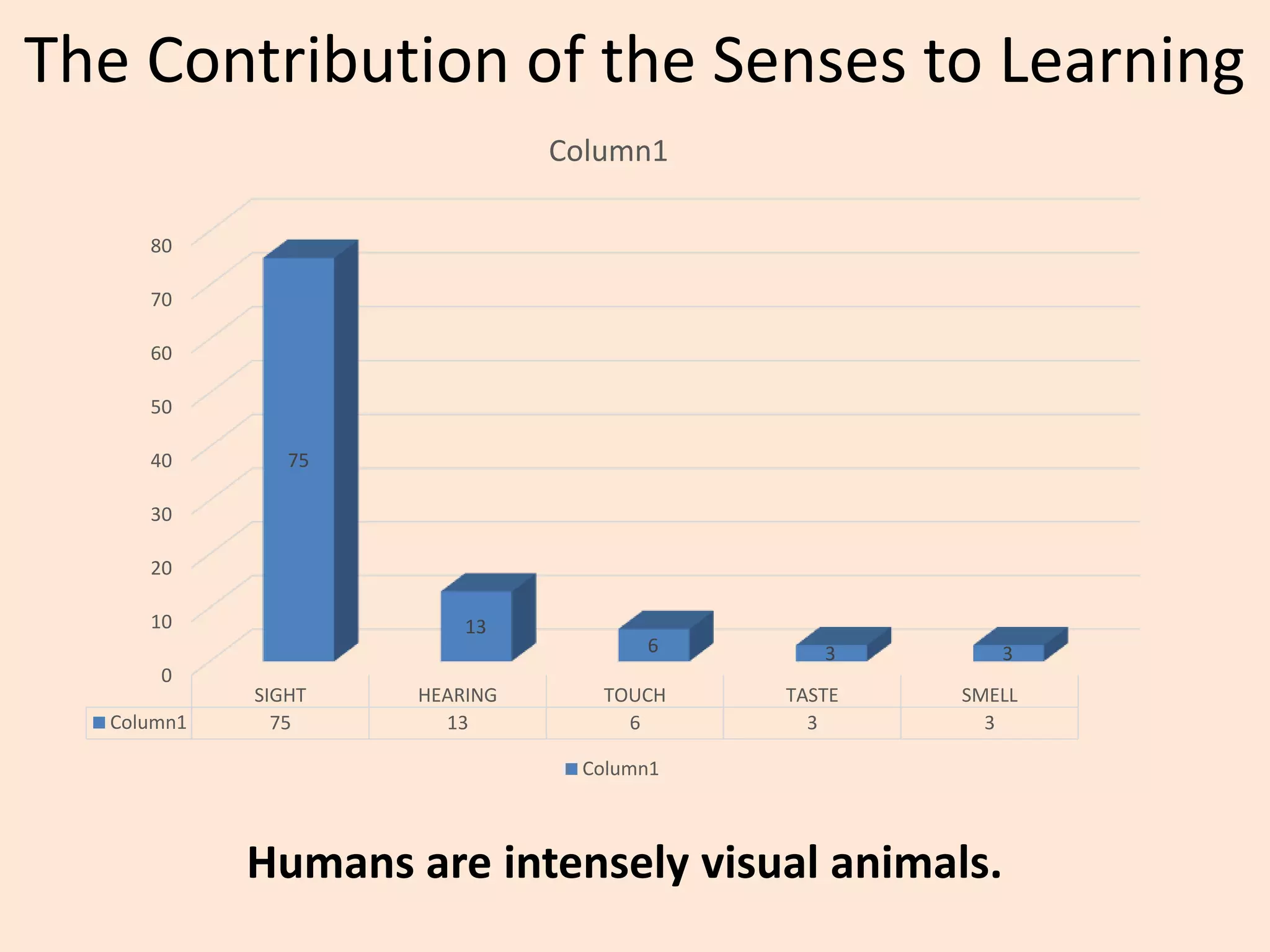 The Contribution of the Senses to Learning
0
10
20
30
40
50
60
70
80
SIGHT HEARING TOUCH TASTE SMELL
Column1 75 13 6 3 3
75
13
6 3 3
Column1
Column1
Humans are intensely visual animals.
 
