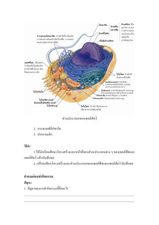 F                   F   F

      2.                F
      3.



      1. F                          F       F   F               F           F
    F F F
      2.                    F           F                   F       F   F


       F

1.
______________________________________________________________________________
______________________________________________________________________________
 