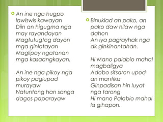  An ine nga hugpo
lawiswis kawayan
Diin an higugma nga
may rayandayan
Magtutugtog dayon
mga ginlatayan
Maglipay ngatanan
mga kasaangkayan.
An ine nga pikoy nga
pikoy paglupad
murayaw
Natuntong han sanga
dagos paparayaw
 Binuklad an pako, an
pako daw hilaw nga
dahon
An iya pagrayhak nga
ak ginkinantahan.
Hi Mano palabio mahal
magbaligya
Adobo sitsaron upod
an mantika
Ginpadisan hin luyat
nga tarong
Hi mano Palabio mahal
la gihapon.
 