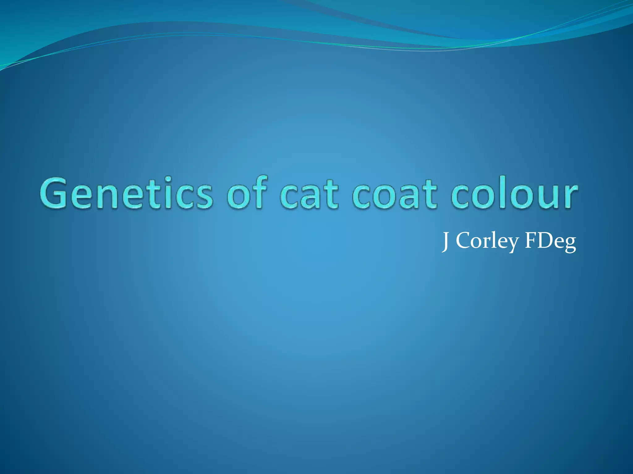 Lesson 1 of cat coat colour PPT