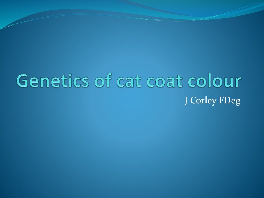Lesson 1 of cat coat colour