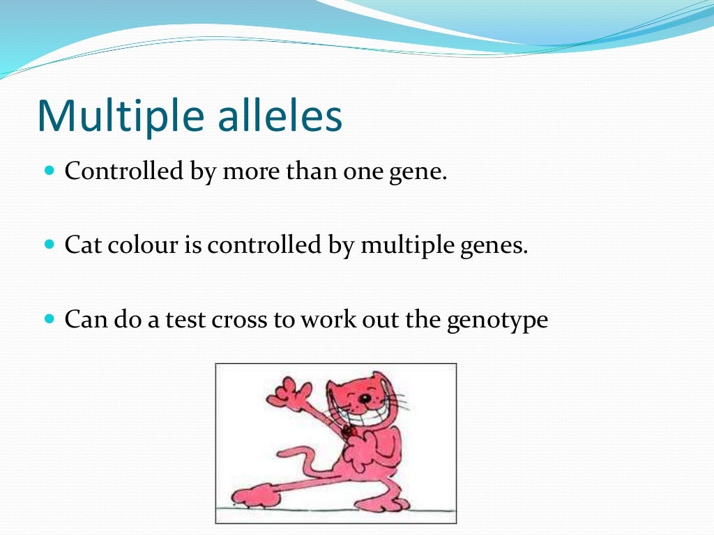 Lesson 1 of cat coat colour