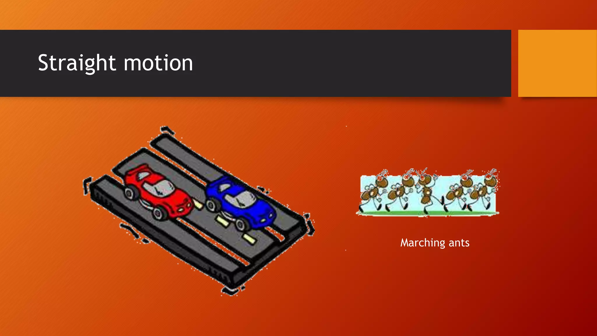 Straight motion
Marching ants