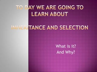 To day we are going to learn aboutInheritance and Selection What is it? And Why? 
