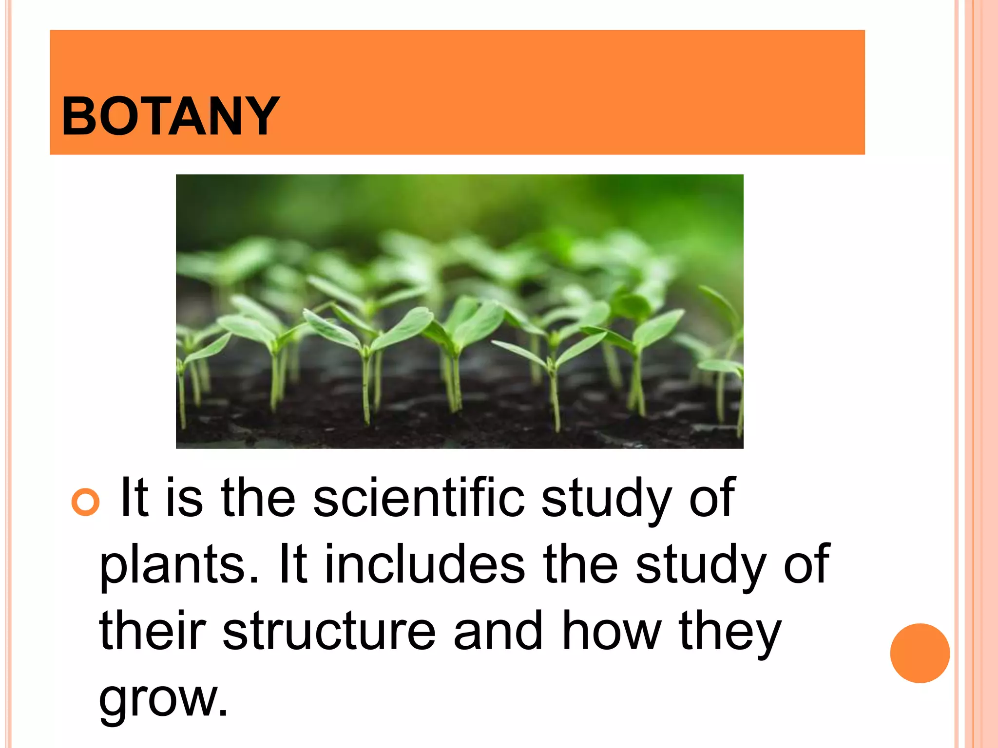 BOTANY
 It is the scientific study of
plants. It includes the study of
their structure and how they
grow.
 