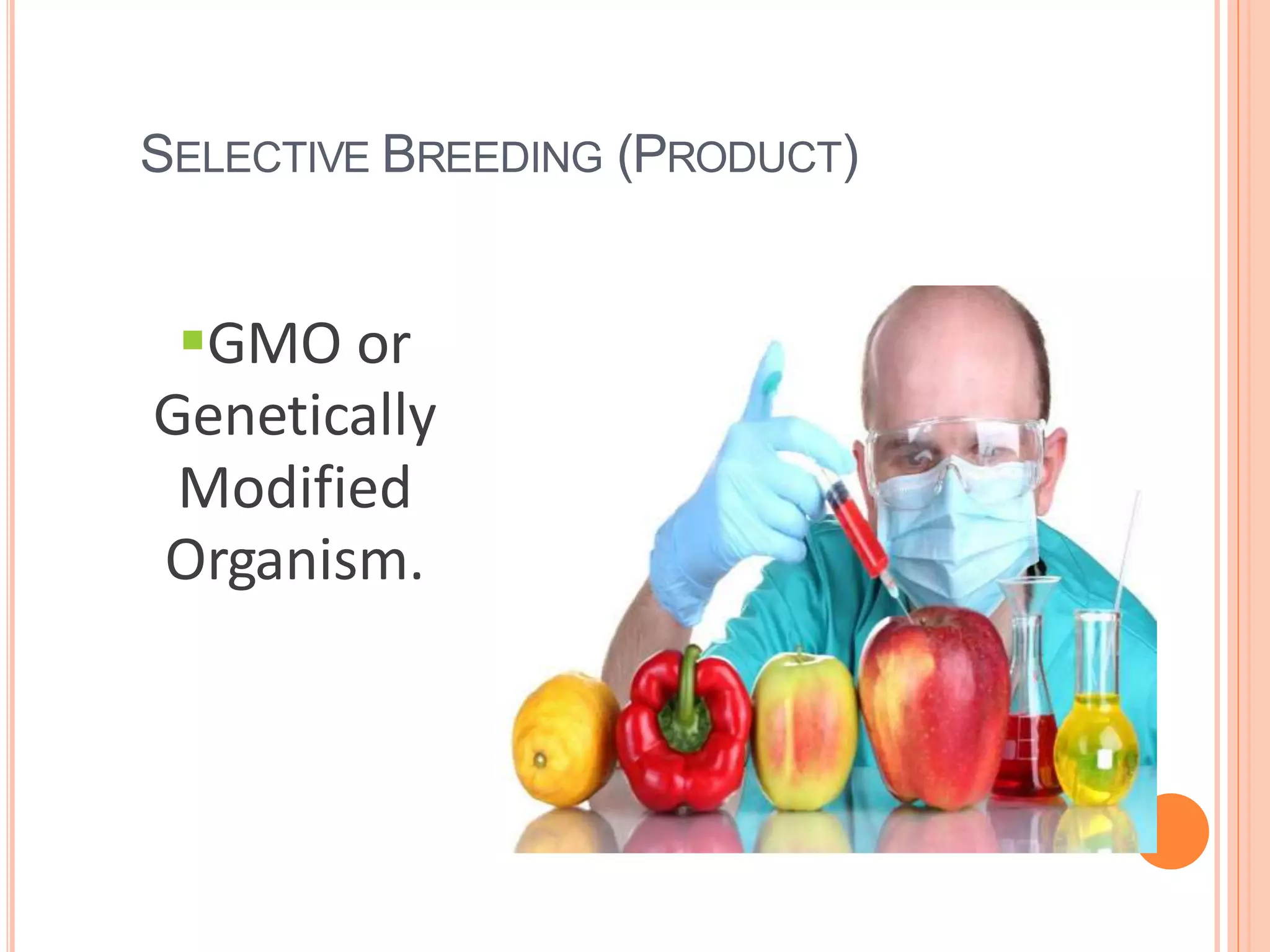 SELECTIVE BREEDING (PRODUCT)
GMO or
Genetically
Modified
Organism.
 