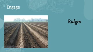 Engage
Ridges
This Photo by Unknown Author is licensed under CC BY-SA
 